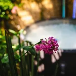 Fraichement Renovee - Jacuzzi Au Coeur De * Кан
