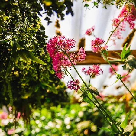 Privé Avec Jacuzzi Au Coeur De Appartement *