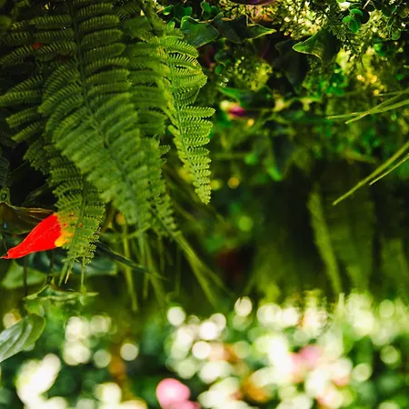 Fraichement Renovee - Jacuzzi Au Coeur De Caen