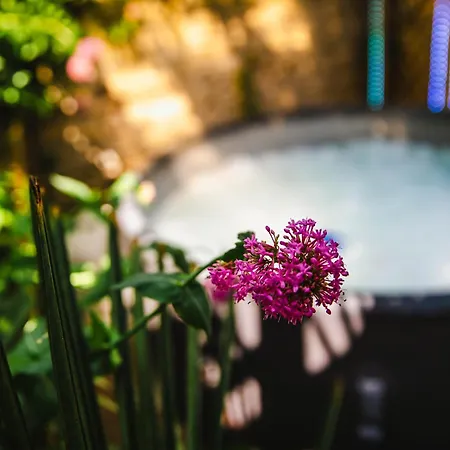 Privé Avec Jacuzzi Au Coeur De * Caen