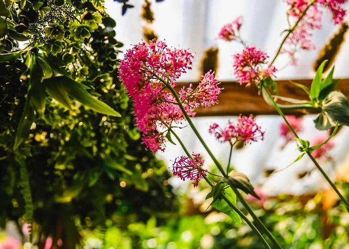 Fraichement Renovee - Jacuzzi Au Coeur De Apartment *