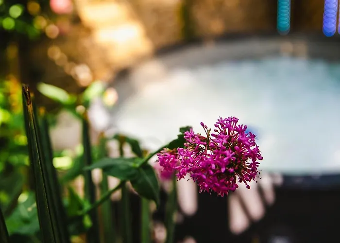 Fraichement Renovee - Jacuzzi Au Coeur De * Caen