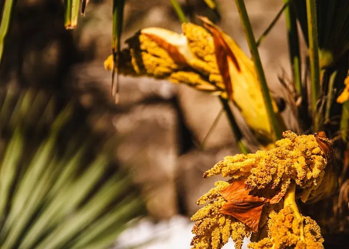 Fraichement Renovee - Jacuzzi Au Coeur De